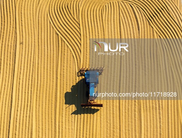 Workers operate machines to harvest rice at Baima Lake farm in Huai'an, China, on October 29, 2024. 