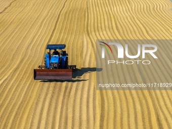 Workers operate machines to harvest rice at Baima Lake farm in Huai'an, China, on October 29, 2024. (