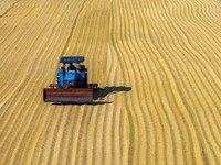 Workers operate machines to harvest rice at Baima Lake farm in Huai'an, China, on October 29, 2024. (