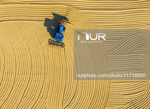 Workers operate machines to harvest rice at Baima Lake farm in Huai'an, China, on October 29, 2024. 