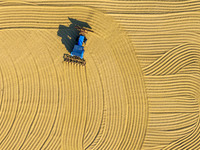 Workers operate machines to harvest rice at Baima Lake farm in Huai'an, China, on October 29, 2024. (