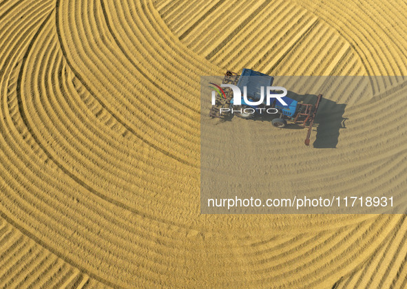 Workers operate machines to harvest rice at Baima Lake farm in Huai'an, China, on October 29, 2024. 