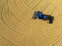 Workers operate machines to harvest rice at Baima Lake farm in Huai'an, China, on October 29, 2024. (