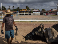 A man with a cart pulled by a buffalo collects garbage on Marajo Island, located at the mouth of the Amazon River. This island has the large...