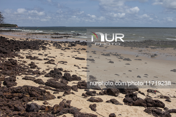 A beach on Marajo Island is located at the mouth of the Amazon River in Joanes, Para, Brazil, on October 11, 2024. 