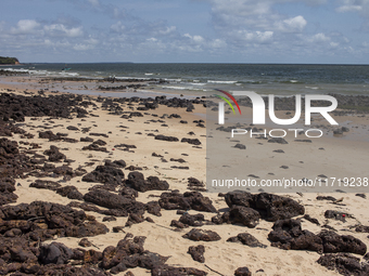 A beach on Marajo Island is located at the mouth of the Amazon River in Joanes, Para, Brazil, on October 11, 2024. (