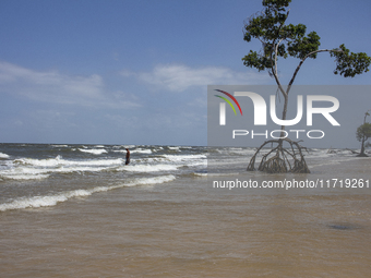 Barra Velha Beach is on Marajo Island, located at the mouth of the Amazon River and considered the largest fluvial-maritime island on the pl...