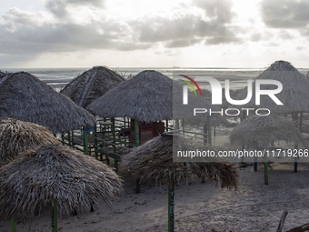 Pesqueiro Beach is on Marajo Island, located at the mouth of the Amazon River and considered the largest fluvial-maritime island on the plan...