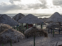 Pesqueiro Beach is on Marajo Island, located at the mouth of the Amazon River and considered the largest fluvial-maritime island on the plan...