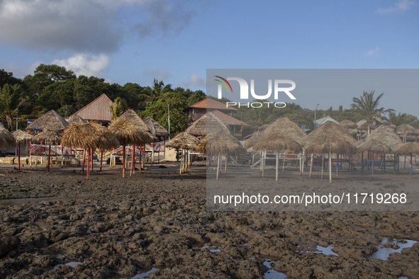 Pesqueiro Beach is on Marajo Island, located at the mouth of the Amazon River and considered the largest fluvial-maritime island on the plan...