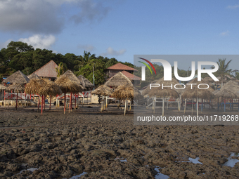 Pesqueiro Beach is on Marajo Island, located at the mouth of the Amazon River and considered the largest fluvial-maritime island on the plan...