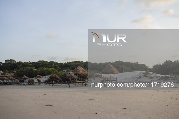 Pesqueiro Beach is on Marajo Island, located at the mouth of the Amazon River and considered the largest fluvial-maritime island on the plan...