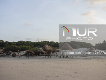 Pesqueiro Beach is on Marajo Island, located at the mouth of the Amazon River and considered the largest fluvial-maritime island on the plan...