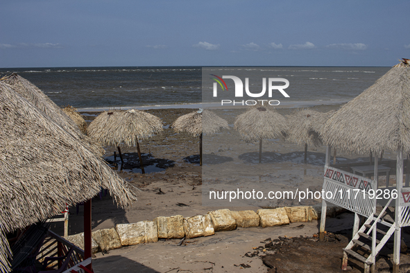 Pesqueiro Beach is on Marajo Island, located at the mouth of the Amazon River and considered the largest fluvial-maritime island on the plan...