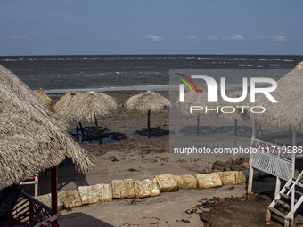 Pesqueiro Beach is on Marajo Island, located at the mouth of the Amazon River and considered the largest fluvial-maritime island on the plan...