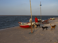 Pesqueiro Beach is on Marajo Island, located at the mouth of the Amazon River and considered the largest fluvial-maritime island on the plan...