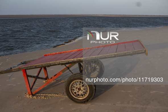 Pesqueiro Beach is on Marajo Island, located at the mouth of the Amazon River and considered the largest fluvial-maritime island on the plan...