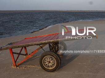 Pesqueiro Beach is on Marajo Island, located at the mouth of the Amazon River and considered the largest fluvial-maritime island on the plan...