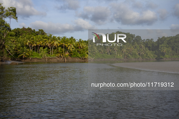 A river is on Marajo Island, located at the mouth of the Amazon River and considered the largest fluvial-maritime island on the planet, in S...