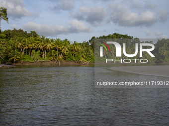 A river is on Marajo Island, located at the mouth of the Amazon River and considered the largest fluvial-maritime island on the planet, in S...