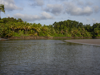 A river is on Marajo Island, located at the mouth of the Amazon River and considered the largest fluvial-maritime island on the planet, in S...