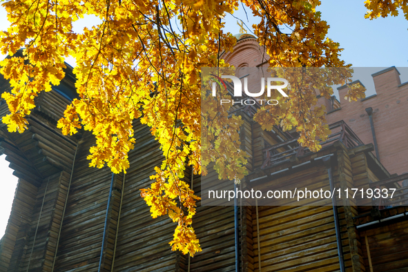 Yellow oak leaves are in front of the Golden Gate in Kyiv, Ukraine, on October 28, 2024. 