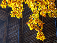 Yellow oak leaves are in front of the Golden Gate in Kyiv, Ukraine, on October 28, 2024. (