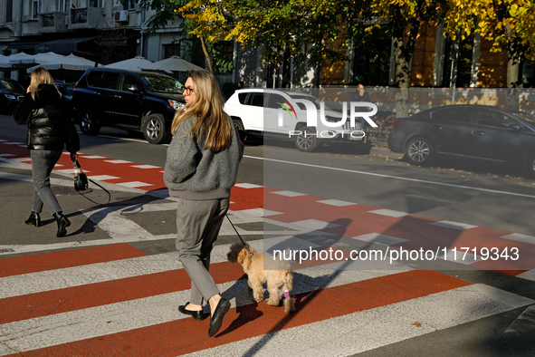 A woman with a dog crosses a street in Kyiv, Ukraine, on October 28, 2024. 