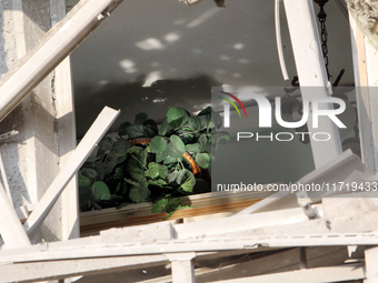 A potted plant is visible through a smashed window in a residential building after the Russian missile attack in the Novokodatskyi district...