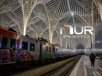 A person walks near a train parked on one of the transit lines at Oriente railway station in Lisbon, Portugal, on October 28, 2024. Due to a...