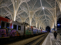 A person walks near a train parked on one of the transit lines at Oriente railway station in Lisbon, Portugal, on October 28, 2024. Due to a...