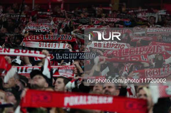   Rb Leipzig fans during the DFB Cup  Second Round match between RB Leipzig and FC St. Pauli at Red Bull arena, Leipzig, Germany on October...