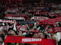   Rb Leipzig fans during the DFB Cup  Second Round match between RB Leipzig and FC St. Pauli at Red Bull arena, Leipzig, Germany on October...