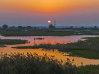 The first batch of winter migratory birds flies in the Linhuai section of Hongze Lake Wetland National Nature Reserve in Suqian, Jiangsu pro...