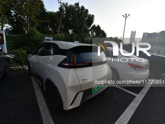 Electric vehicles are charged at a street charging station in Fuyang, China, on October 30, 2024. (