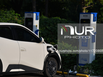 Electric vehicles are charged at a street charging station in Fuyang, China, on October 30, 2024. (