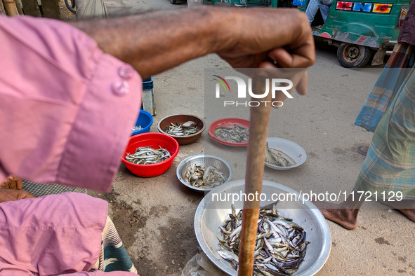 Old people sell fish in the early morning in a rural area in Feni, Bangladesh, on October 30, 2024. Many fish enclosures and ponds are washe...