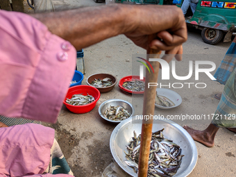 Old people sell fish in the early morning in a rural area in Feni, Bangladesh, on October 30, 2024. Many fish enclosures and ponds are washe...