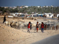 Shepherds herd a flock of sheep along a road in Khan Yunis, southern Gaza Strip, on October 30, 2024, amid the ongoing conflict between Isra...