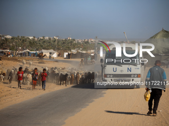 Shepherds herd a flock of sheep along a road in Khan Yunis, southern Gaza Strip, on October 30, 2024, amid the ongoing conflict between Isra...