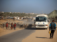 Shepherds herd a flock of sheep along a road in Khan Yunis, southern Gaza Strip, on October 30, 2024, amid the ongoing conflict between Isra...