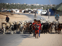 Shepherds herd a flock of sheep along a road in Khan Yunis, southern Gaza Strip, on October 30, 2024, amid the ongoing conflict between Isra...