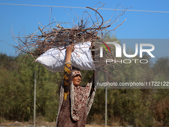 A woman carries firewood and walks along a street in Khan Yunis, Gaza Strip, on October 30, 2024, amid the ongoing conflict between Israel a...