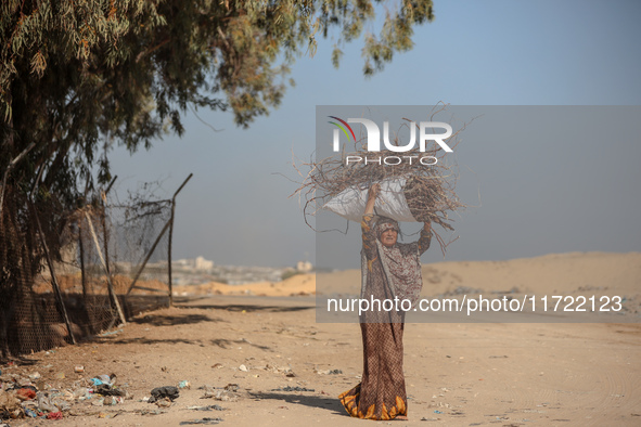 A woman carries firewood and walks along a street in Khan Yunis, Gaza Strip, on October 30, 2024, amid the ongoing conflict between Israel a...