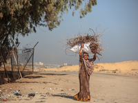 A woman carries firewood and walks along a street in Khan Yunis, Gaza Strip, on October 30, 2024, amid the ongoing conflict between Israel a...