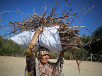 A woman carries firewood and walks along a street in Khan Yunis, Gaza Strip, on October 30, 2024, amid the ongoing conflict between Israel a...