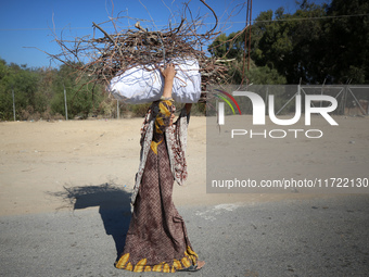 A woman carries firewood and walks along a street in Khan Yunis, Gaza Strip, on October 30, 2024, amid the ongoing conflict between Israel a...