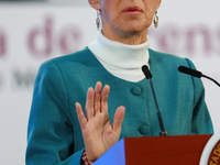 Mexico's President, Claudia Sheinbaum Pardo, speaks about the statement by the United States ambassador to Mexico, Ken Salazar, regarding th...