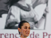 Mexico's President, Claudia Sheinbaum Pardo, speaks about the statement by the United States ambassador to Mexico, Ken Salazar, regarding th...