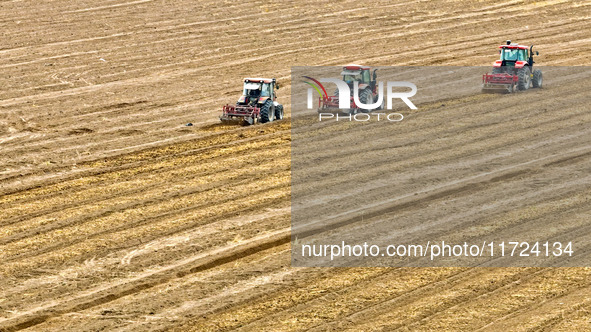 Farmers drive machinery to harvest yellow ginseng in a field in Zhangye, China, on October 30, 2024. 